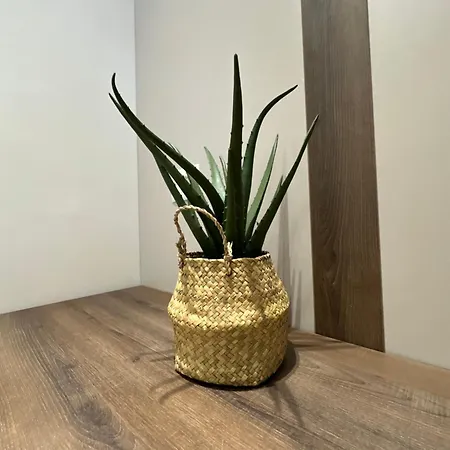 Lux Apartment *